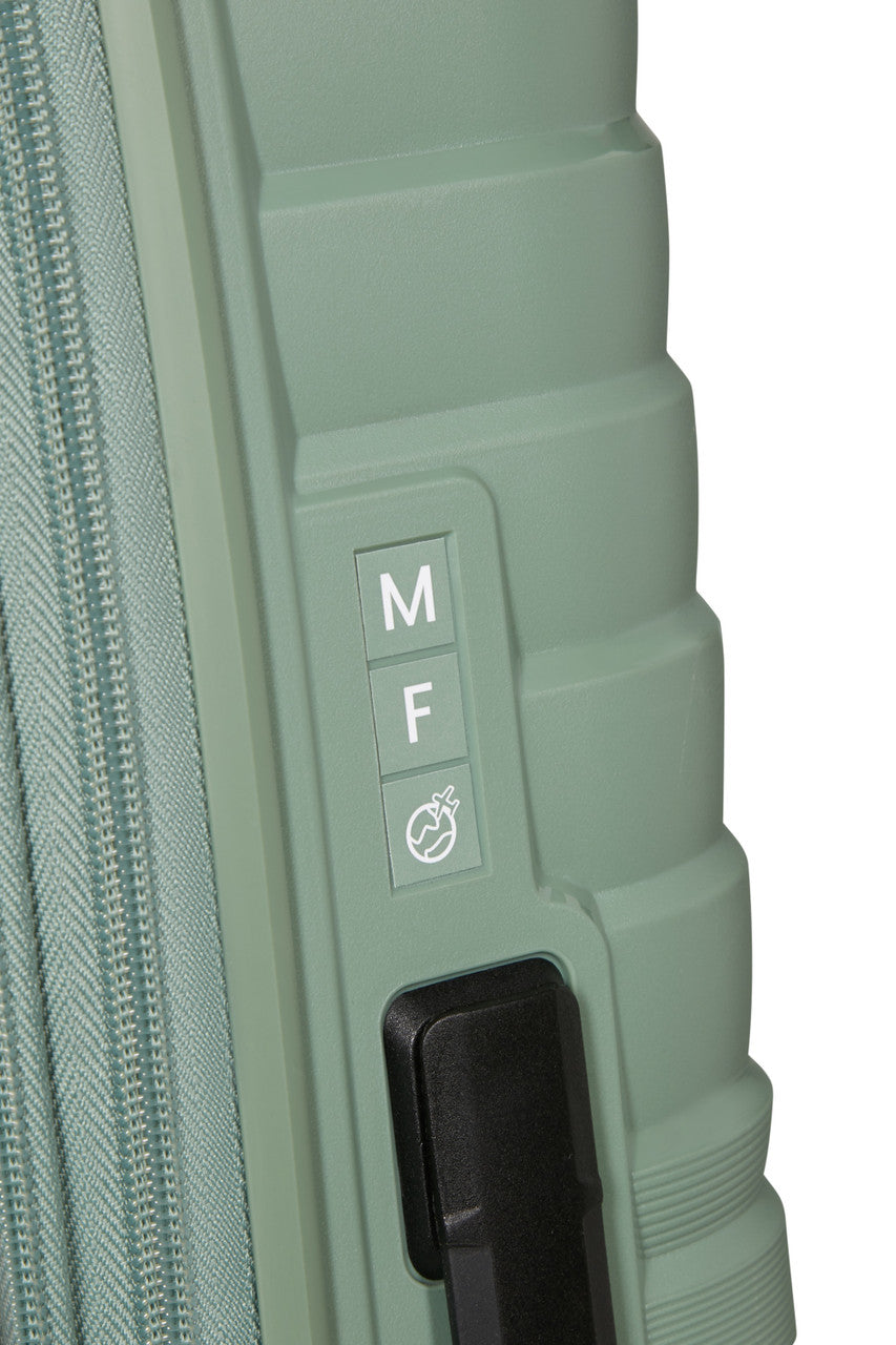 American Tourister Botanic Green