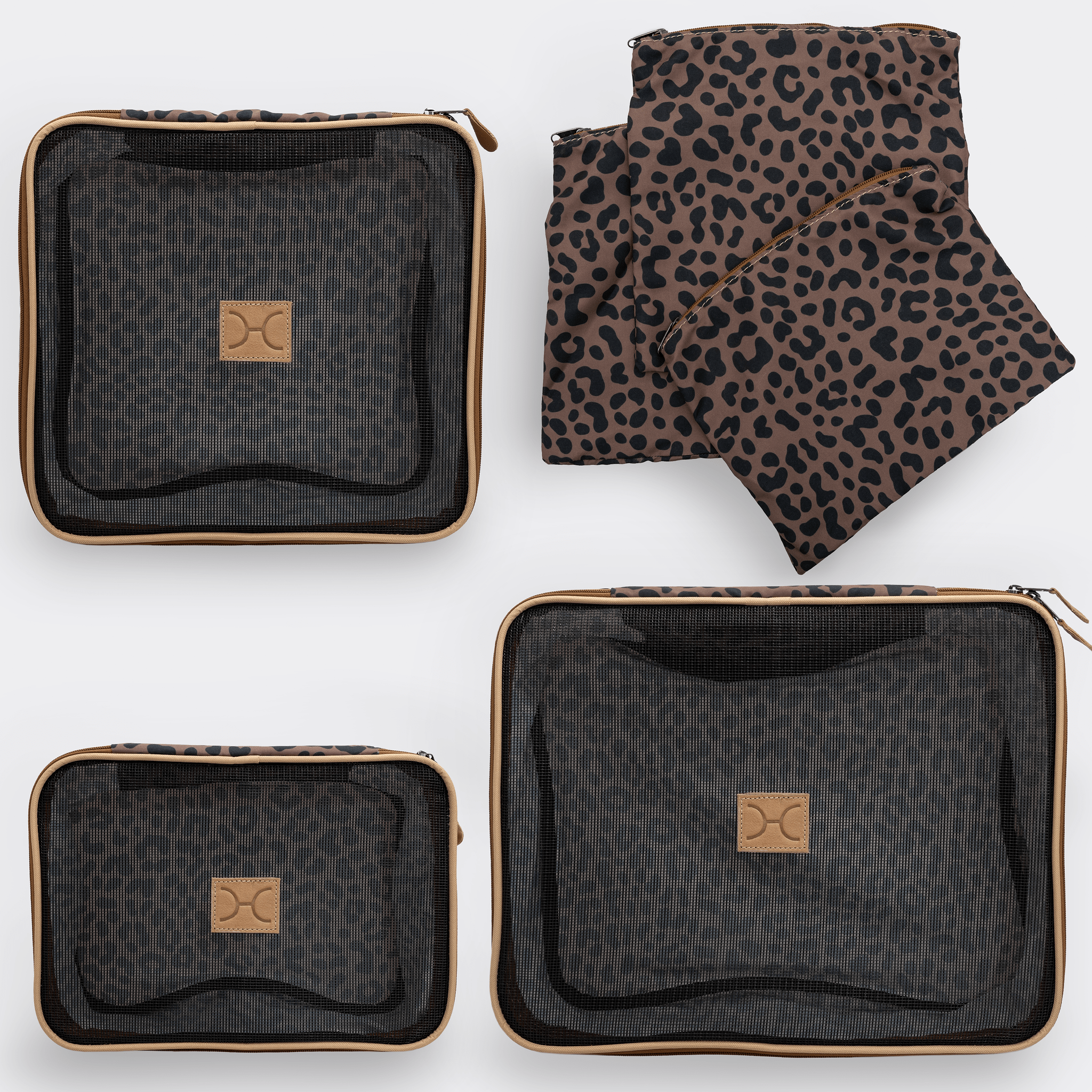 Cheetah - Coffee